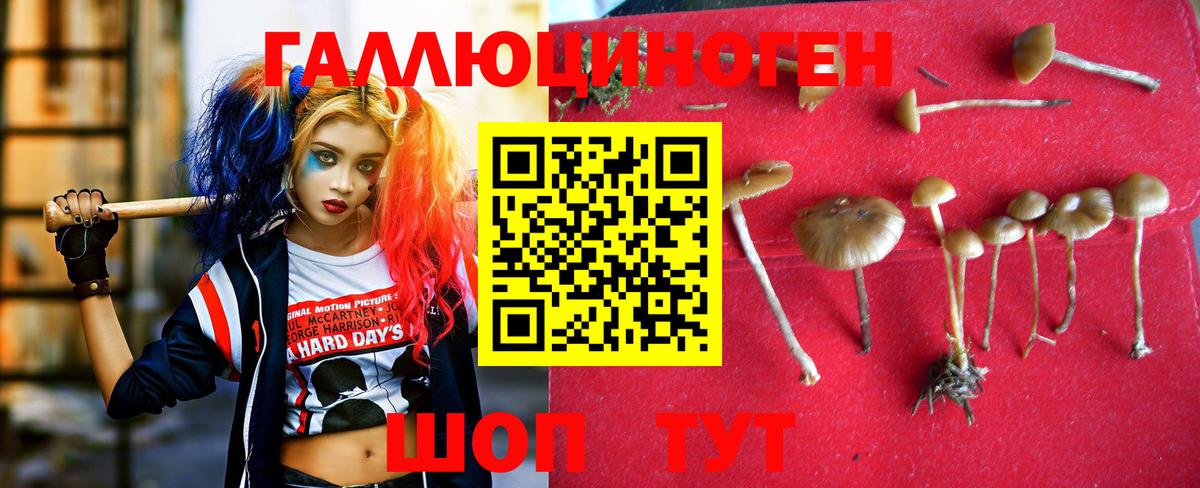 Псилоцибиновые грибы ЛСД  Вход с VPN  Псилоцибиновые грибы GOLDEN TEACHER  Коркино 