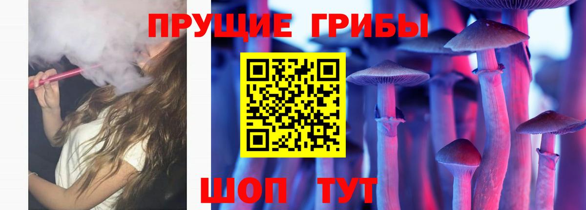 Псилоцибиновые грибы GOLDEN TEACHER Коркино